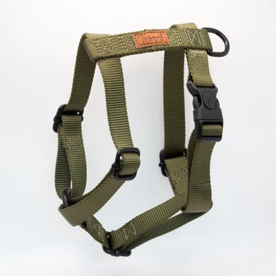 Nylon tuigje groen - maat S - hondentuig - honden riem - hondentuigje kleine hond - honden harnas - honden tuigje - hondenhalsband met naam - hond - halsbanden, riemen & tuigen - Trimmi