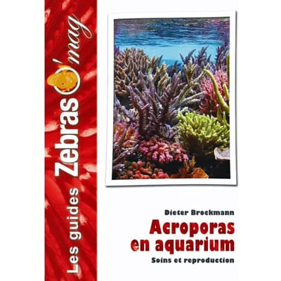 Acropora's in Aquarium Martin Sellier
