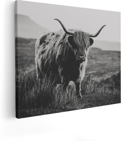 Artaza Canvas Schilderij Hooglander - 50x40 cm - Muurdecoratie Dierenkop - Wanddecoratie Woonkamer - Kamer Accessoires