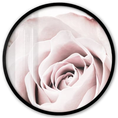 Poster in lijst Rond - Fotolijst 40x40 cm - Posters - Bloemen - Roos - Roze - Botanisch - Ronde posterlijst zwart - Decoratie - Wanddecoratie woonkamer - Muurdecoratie slaapkamer