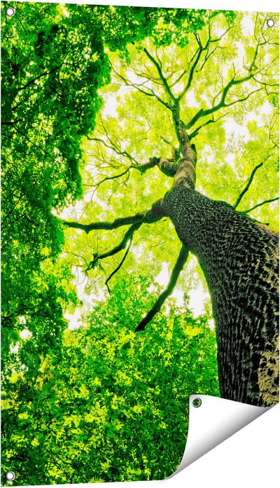 Gards Tuinposter Boom in het Bos met Fel Groene Bladeren - 60x90 cm - Tuindoek - Tuindecoratie - Wanddecoratie buiten - Tuinschilderij