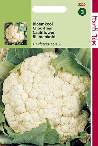 Hortitops Zaden - Bloemkool Herfstreuzen 3