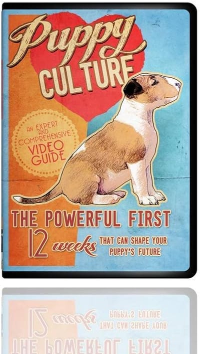 Puppy Training Gids - Gedrag Puppy - Gedrag Vormen - Eerste 12 Weken - 23x18x5 cm