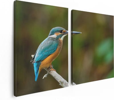 Artaza Canvas Schilderij Tweeluik Blauwe IJsvogel Op Een Tak - 120x80 - Foto Op Canvas - Canvas Print