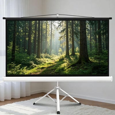 Projectiescherm - Filmscherm - Home Cinema - Statiefontwerp - 60 inch - Wit