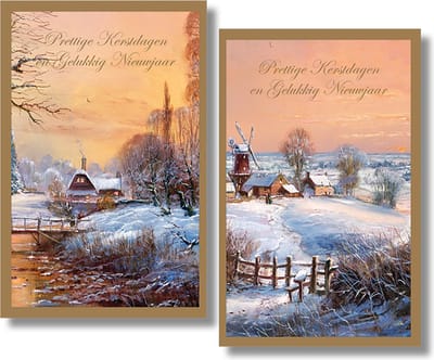 40 Kerstkaarten - Folie - Witte envelop - 10,5 x 16 cm - 2 motieven