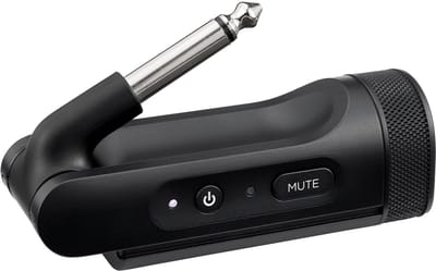 Bose S1Pro+ 9,144 m Zwart
