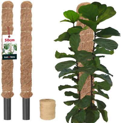 KOTARBAU® 2 st Kokosstok, Plantenstok, ⌀ 3,2 x 50 cm, Kokosstaaf, Klimhulp Monstera, Bruin, Kokosvezel, Klimhulp, Plantenstaaf, Kokosstok voor Monstera, Kokosstaaf voor Klimplanten