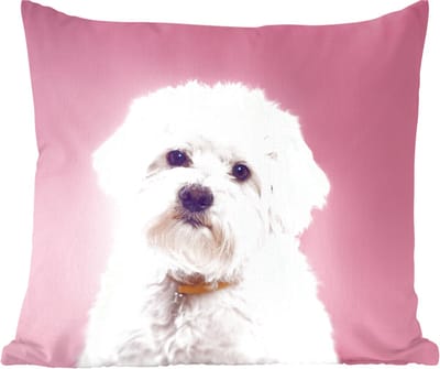Sierkussens - Kussentjes Woonkamer - 60x60 cm - Maltezer hond met een roze achtergrond