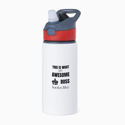 Hacebo® - this is what an awesome trainer looks like waterfles met rietje rood - Trainer - cadeau trainer - cadeau - coach cadeau - bedankt voor alles - water fles - 650ML