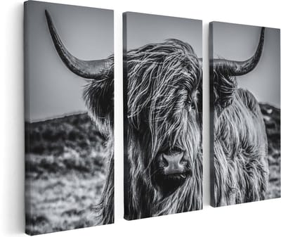 Artaza Canvas Schilderij Schotse Hooglander Koe - Drieluik Schilderijen - Zwart Wit - 120x80 - Wanddecoratie Industrieel - Schilderijen Dieren