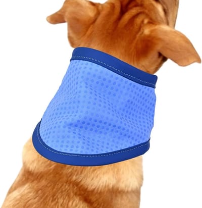 Koelbandana voor honden - Verkoelende halsband - Warm weer - Verdampingskoeling - Maat L - Blauw