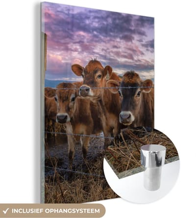 MuchoWow® Glasschilderij 30x40 cm - Schilderij acrylglas - Koe - Dieren - Koeien - Foto op glas - Schilderijen