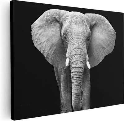 Artaza Canvas Schilderij Dierenkop Olifant - 40x30 cm - Klein - Muurdecoratie Woonkamer - Wanddecoratie Dierenhoofd - Kamer Accessoires