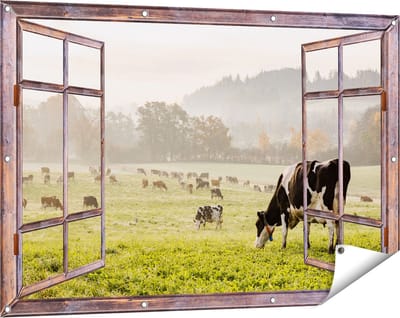 Gards Tuinposter Doorkijk Zwart Witte Koeien in de Wei - 120x80 cm - Tuindoek - Tuindecoratie - Wanddecoratie buiten - Tuinschilderij