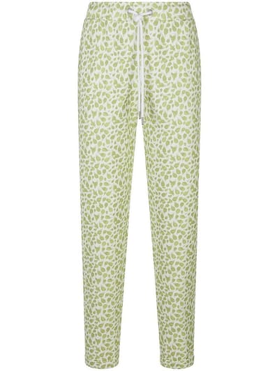 Lange broek Van Peter Hahn multicolour