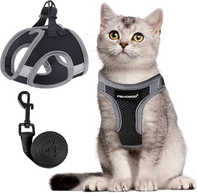 Kattentuigje, kattentuigje voor katten, kattentuigje met riem, ontsnappingsbestendig, verstelbaar kattentuigje, controlerende, ademende kattenriem met reflecterende strips