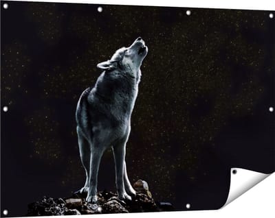 Gards Tuinposter Wolf Huilt naar de Volle Maan - 120x80 cm - Tuindoek - Tuindecoratie - Wanddecoratie buiten - Tuinschilderij