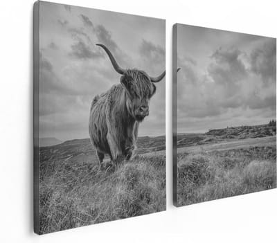 Artaza Canvas Schilderij Tweeluik Schotse Hooglander In De Wei - Zwart Wit - 120x80 - Foto Op Canvas - Canvas Print