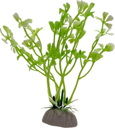 Aquarium plantje op nep steen - Kunstplant groen/wit - Waterplant 11 cm met kleine blaadjes - Geschikt voor terrarium