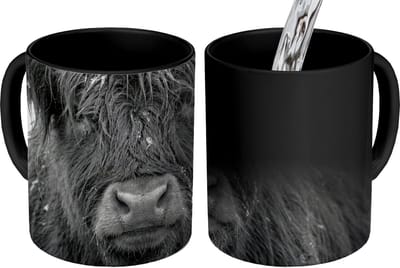 Magische Mok - Foto op Warmte Mokken - Koffiemok - Schotse hooglander - Zwart - Wit - Sneeuwvlokken - Magic Mok - Beker - 350 ML - Theemok