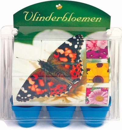 Buzzy - Vlinderbloemen - Kweekset - moederdag