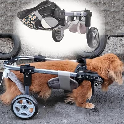 Hondenrolstoel - Hulp voor honden - Huisdier mobiliteit - Verstelbare aluminiumlegering - S - Zilver