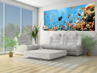 Sea Ocean Fish Corals  Photo Wallcovering