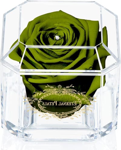 Eeuwige Roos - Behandelde Bloem - Cadeau Geven - Handgemaakt in Londen - 8x8x8 cm Box - Kaki