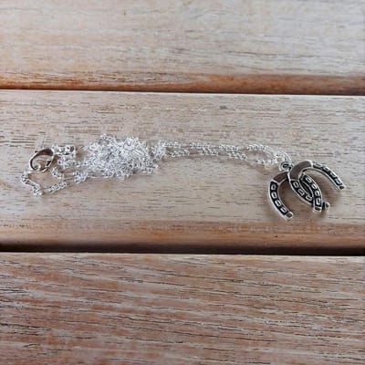 GoedeDoelen.Shop | Ketting Johnny Walker | Geluksketting | Statement Ketting | Hoefijzer Ketting | Dierenwelzijn | Paardenwelzijn | Cadeautje | Wellness-House