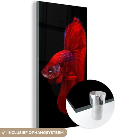 MuchoWow® Glasschilderij 20x40 cm - Schilderij acrylglas - Vis - Dieren - Rood - Foto op glas - Schilderijen