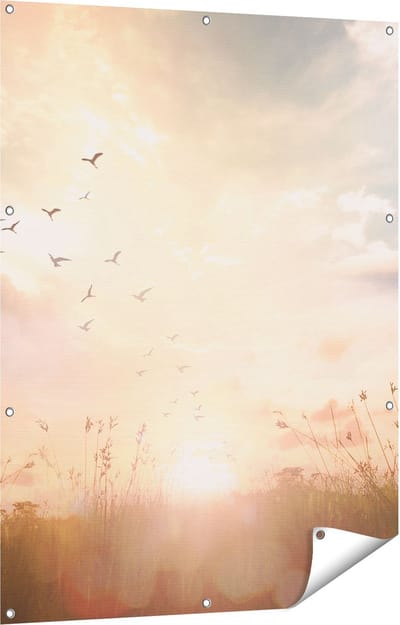 Gards Tuinposter Silhouet Vogels tijdens Zonsopkomst - 90x120 cm - Tuindoek - Tuindecoratie - Wanddecoratie buiten - Tuinschilderij