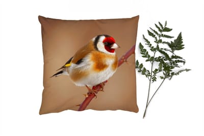 Sierkussens - Kussentjes Woonkamer - 40x40 cm - Putter - Vogel - Dieren