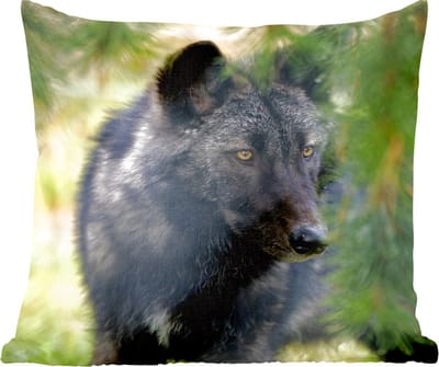 Sierkussens - Kussentjes Woonkamer - 60x60 cm - Wolf - Macro - Bladeren