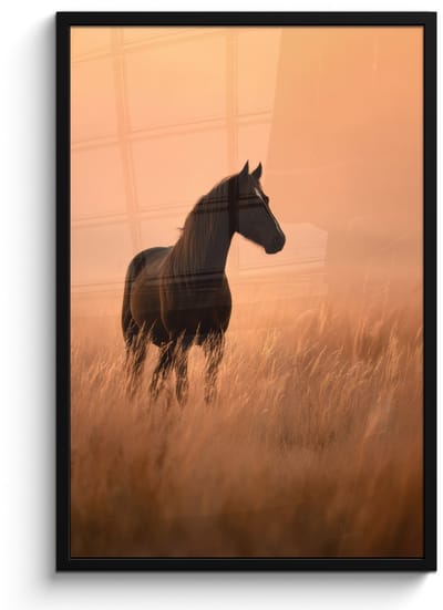 Poster in lijst - Fotolijst 60x90 cm - Posters - Paard - Grasveld - Zonsondergang - Posterlijst zwart - Decoratie - Wanddecoratie woonkamer - Muurdecoratie slaapkamer