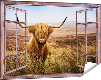Gards Tuinposter Doorkijk Schotse Hooglander Koe in het Veld - 120x80 cm - Tuindoek - Tuindecoratie - Wanddecoratie buiten - Tuinschilderij