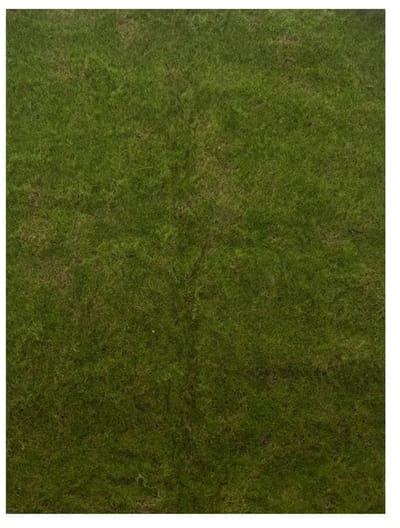 Kunstmat Moss Green - 100x100 cm