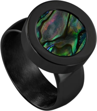 Quiges RVS Schroefsysteem Ring Zwart Glans 17mm met Verwisselbare 12mm Mini Munt - SLSRS55217