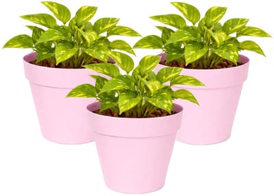 Mega Collections Plantenpot / bloempot - 3x - kunststof - lichtroze - binnen/buiten - D20 x H17 cm