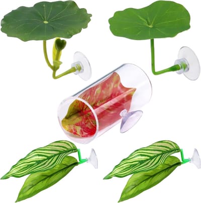 Hamp Leaf voor betta, reproductief vel en ornament voor aquarium, hangmat in de vorm van een jachtblad | 5 Accessoires voor reproductieve en rustwoningen