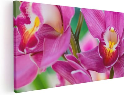 Artaza Canvas Schilderij Orchidee - 40x20 cm - Klein - Wanddecoratie Bloemen - Muurdecoratie Bloem - Schilderijen Op Canvas