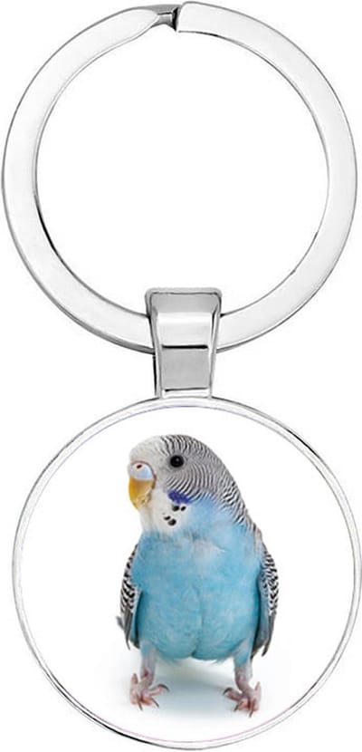 Akyol - Parkiet blauw Sleutelhanger - vogels - vogel liefhebbers - dieren liefhebber - houden van - verjaardagscadeau - gift - geschenk - kado - 2,5 x 2,5 CM