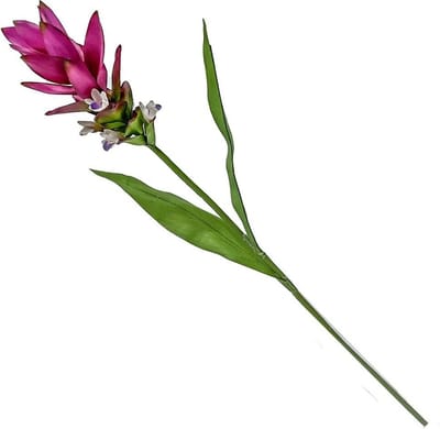 HomeBound by KY | Kunstbloem Siamese tulp fuchsia | kunstbloem