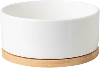 Verwarmde waterbak - Huisdier drinkbak - Drinkwater aanbieden - Constante temperatuur - 12.2 cm diameter - Wit