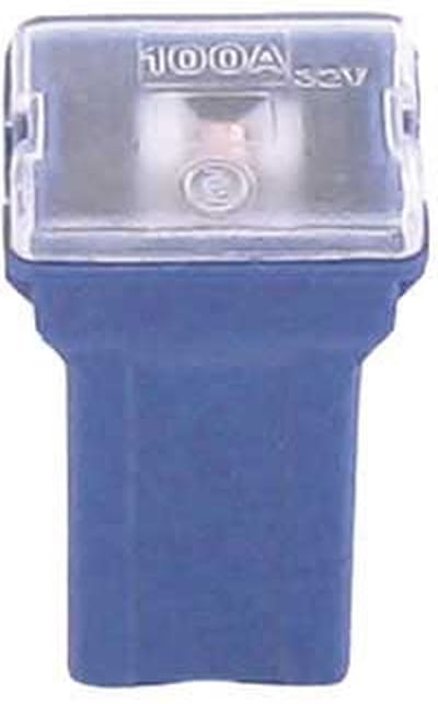 FLF-M pal zekering 100 amp 1 stuk