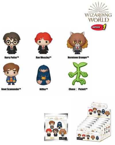 Wizarding World 3D Magnets Series 1 Display (12)