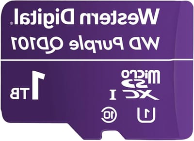 MicroSDXC Kaart - Opslagkaart Video - Bewakingscamera Opnemen - Ultra Duurzaam Ontwerp - 1TB - Paars