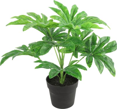 Countryfield Kunstplant Fatsia plant in bloempot - Groen - 15 x 32 cm