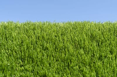 Kunstgras 4 x 9 meter - 40mm ✅ Nederlandse Productie - Uitgeroepen zachtste Grastapijt ✅ Waterdoorlatend | Tuin | Kind | Dier