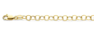 Mori Gold Filté 4,6mm brede armband, Platte buis, Circel schakels, goud gevuld 1/20